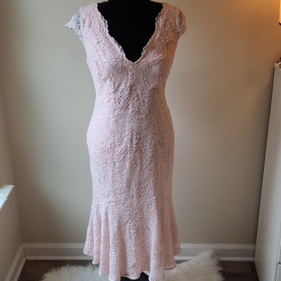 Adrianna Papell Dresses & Skirts - Adrianna Papell Blush Lace Dress size 10